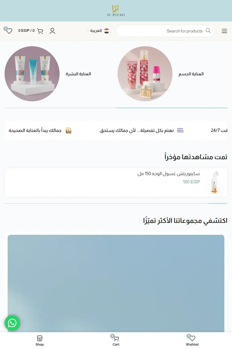 U-Richi website preview